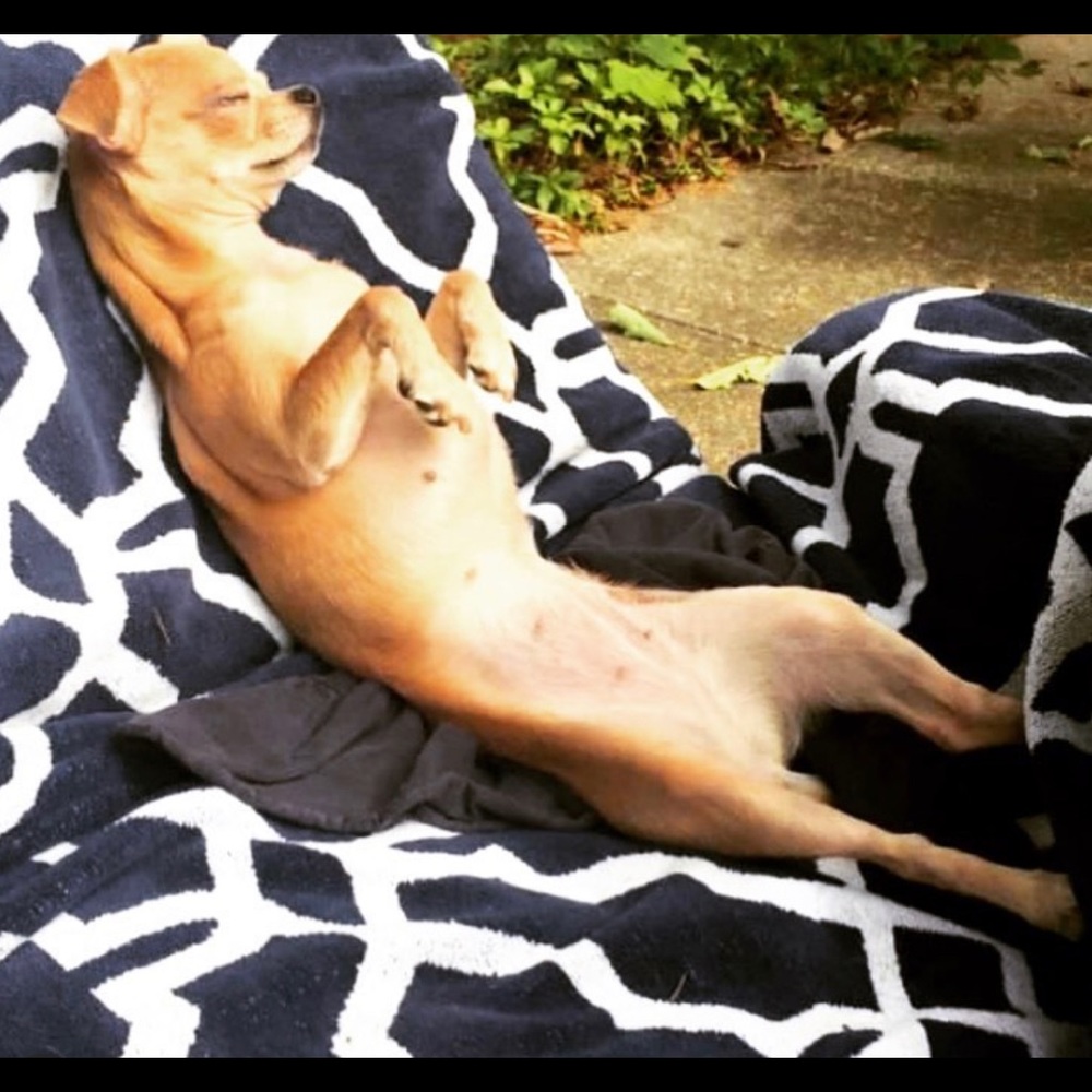 Meet your Posher, Robyn